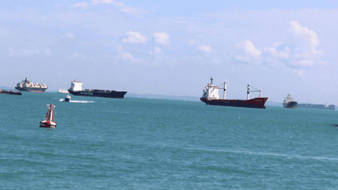 Singapore Maritime Dataset sample