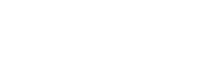Wavemaker